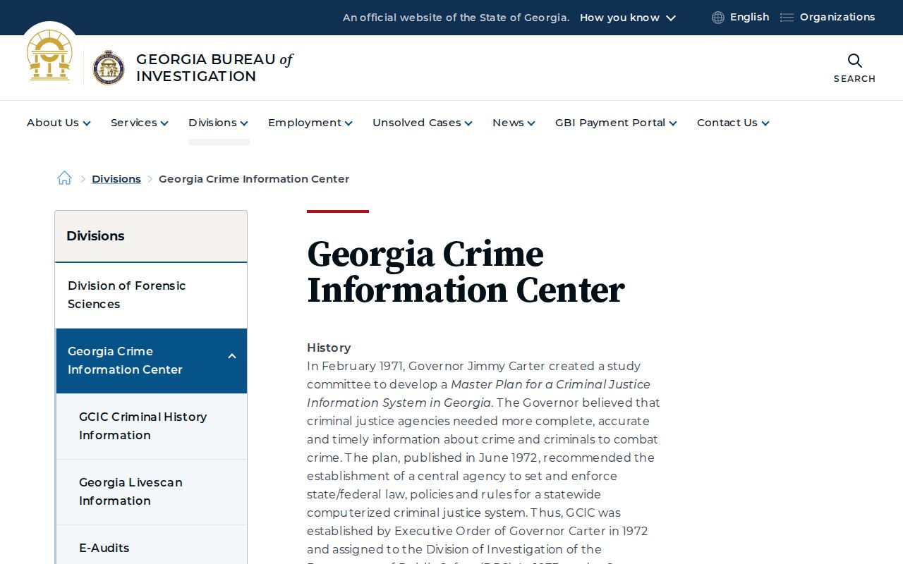 Brooks County criminal history GCIC repository overview